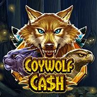 Coywolf Cash